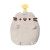 Birthday Pusheen wearing party hat